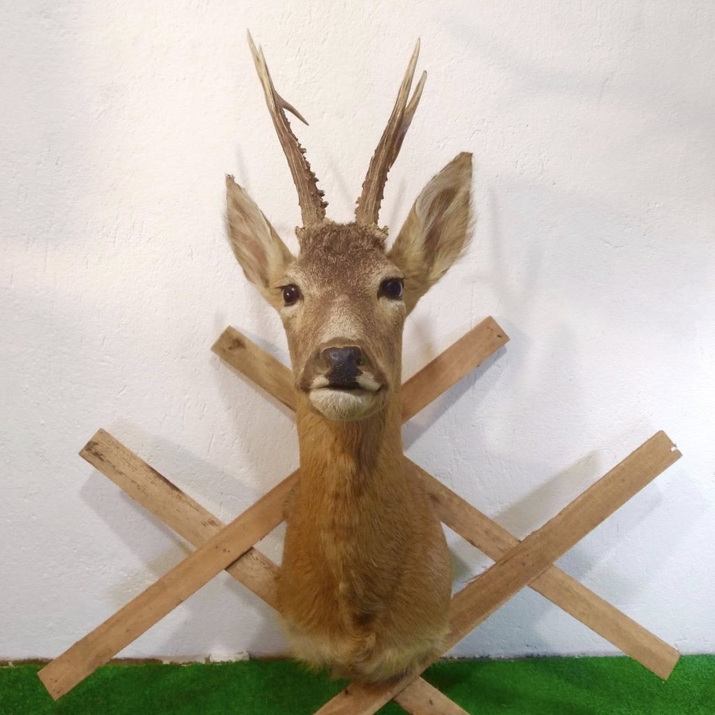 570618932 767578342940471 270867304273955716 n