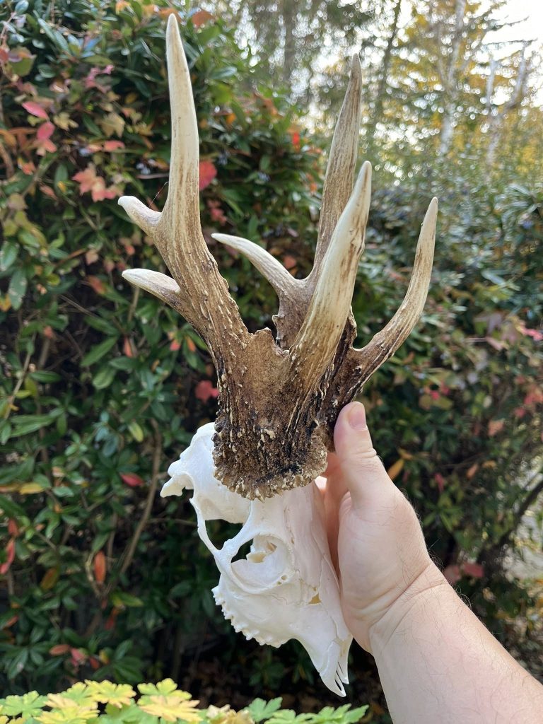 571254150 767504492947856 5663267754331948932 n