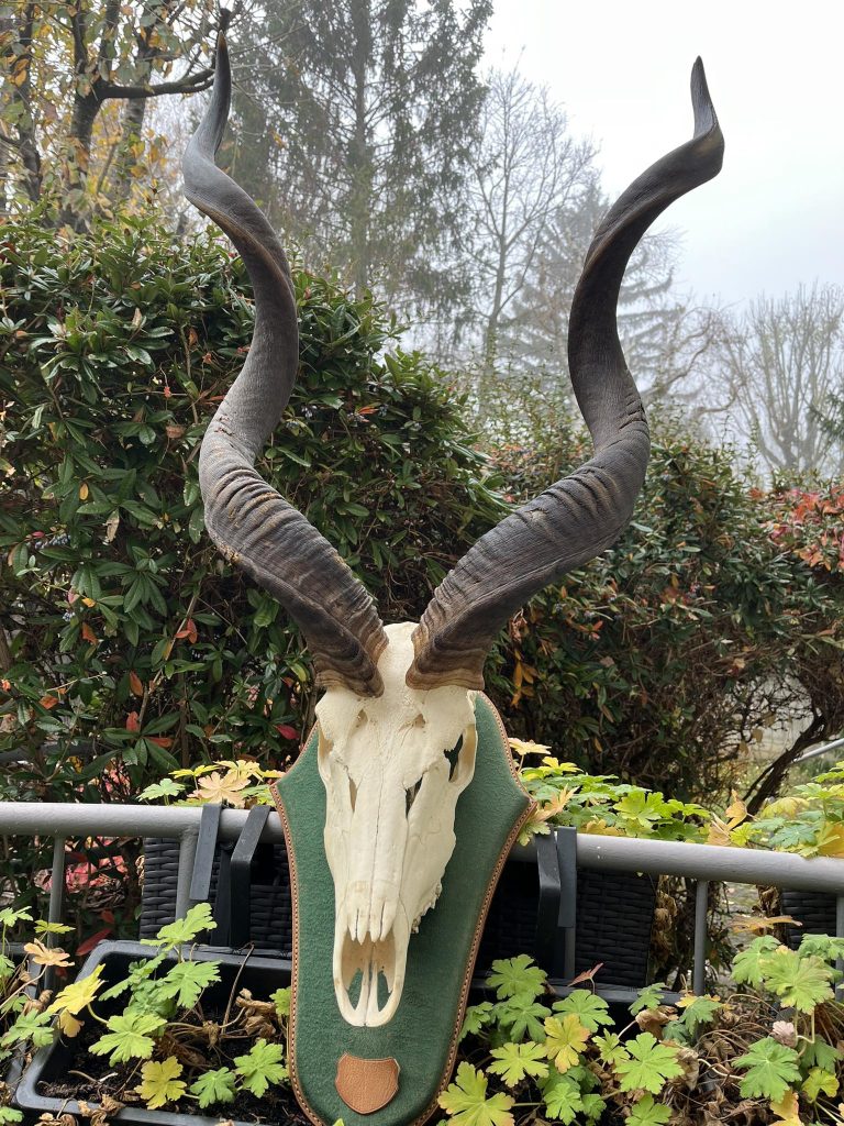 582409237 781655101532795 1054217574197916639 n